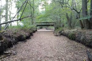 1st-Immobilien Eduard Ripin e.K.