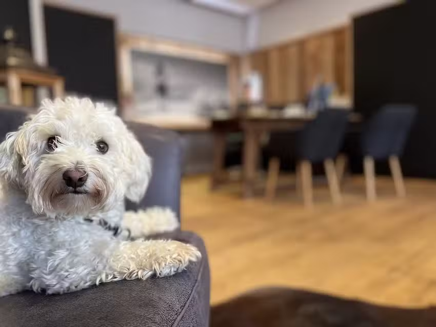 AbacO Immobilien Oberland