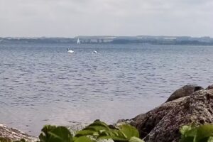 ABBA-Zimmervermittlung Boltenhagen