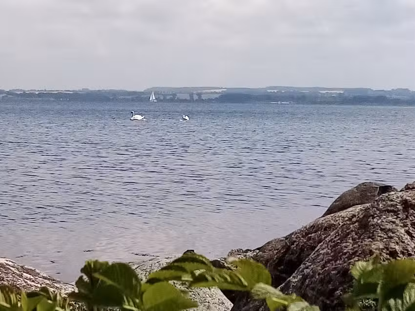 ABBA-Zimmervermittlung Boltenhagen