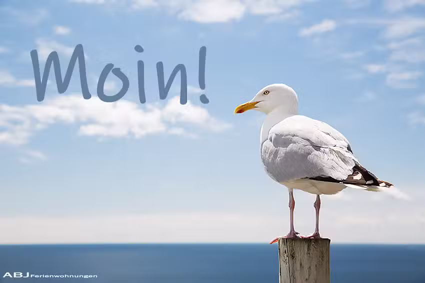 ABJ- Ferienwohnungen GbR