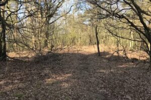 Achimer Stadtwald Grundstücks- und Erschließungsgesellschaft mbH & Co. KG