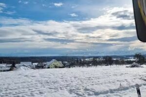 Adler Immobilienmakler