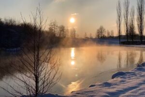 Agentur für Immobilien