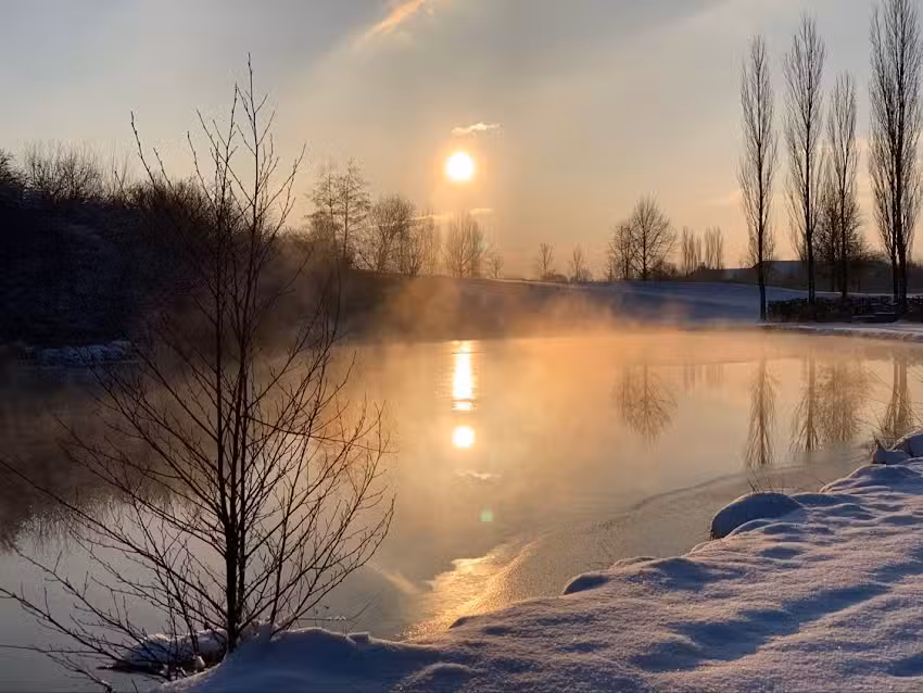 Agentur für Immobilien