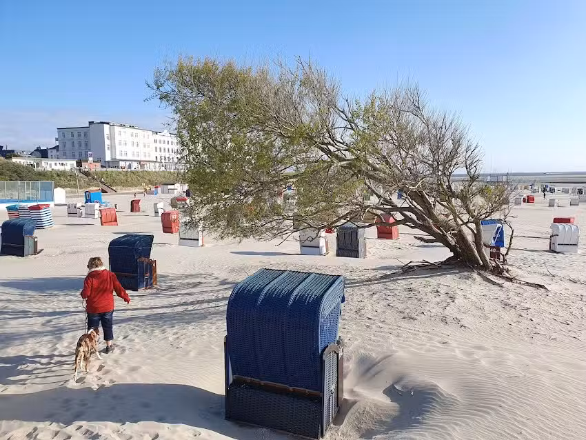 Agentur Nordstrand-Borkum