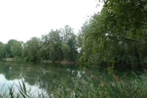 Albrecht-Immobilien-International