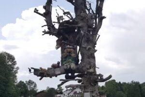 Alfred Utschneider Hausverwaltungen