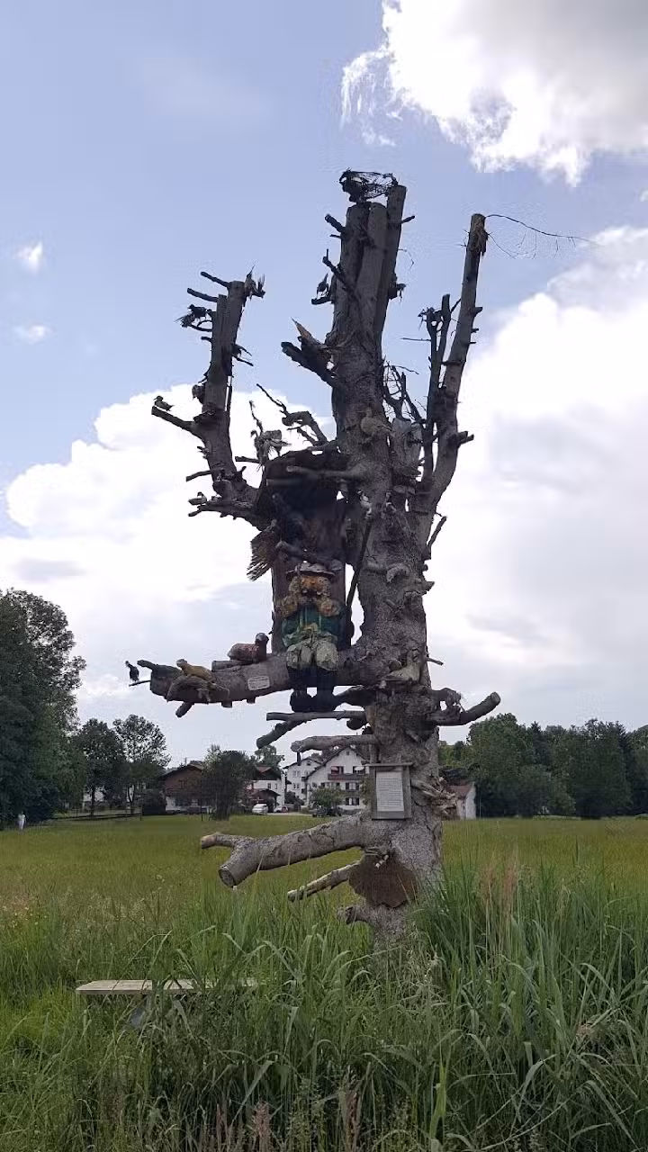 Alfred Utschneider Hausverwaltungen