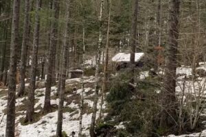 Almhaus Webermohof – Josef Stadler