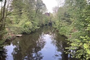 Alsterwohnen Grundstücksverwaltung UG (haftungsbeschränkt)