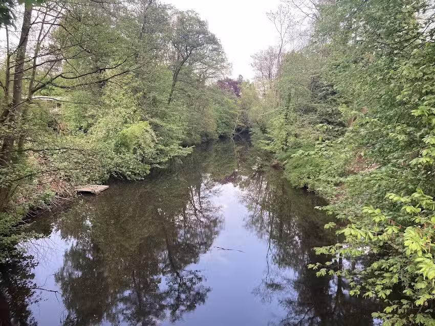 Alsterwohnen Grundstücksverwaltung UG (haftungsbeschränkt)