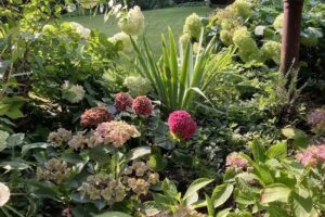 Alte Remise-Ferienhaus-Rösrath-Forsbach