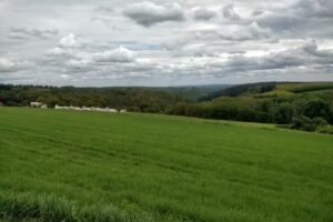 Am weißen Stein Cochem
