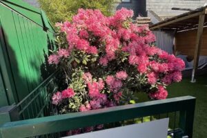 Amtmann Immobilien – Makler & Verwalter für Rodgau