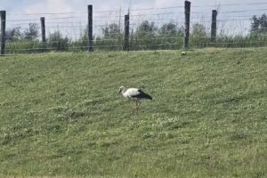 Anke Müller Ferienwohnungen