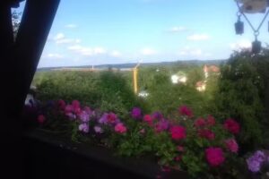 Anna Schultheiß Immobilienmaklerin