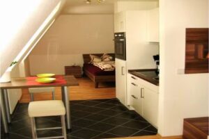 Apartment Haueis-Dresden