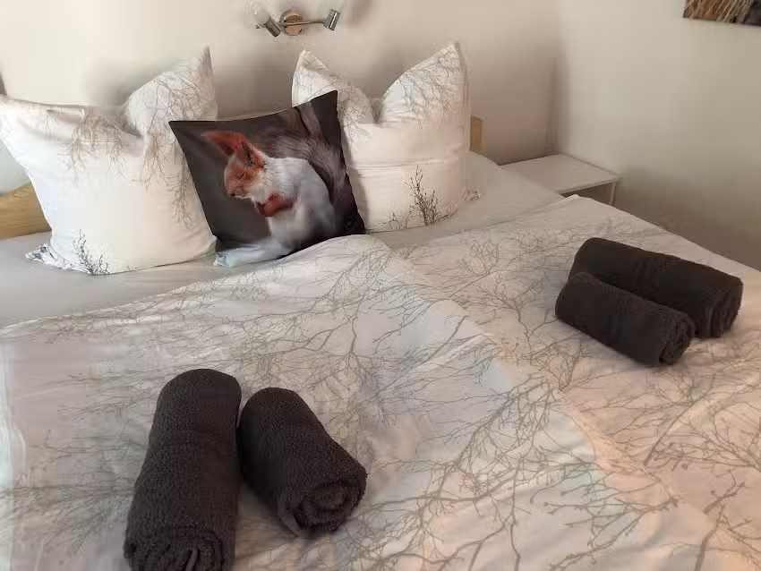 Appartement Eichhörnchen – zentral, Ferienwohnung