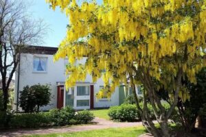 Appartementvermittlung Susanne Hartmann