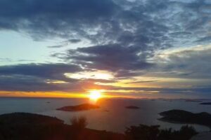 Artmann Immobilien GmbH