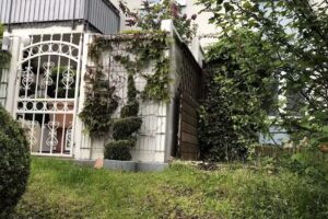 Assmann Immobilien GmbH