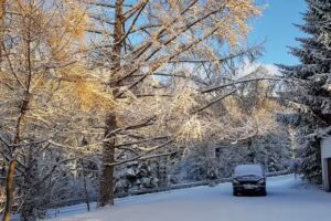 Astrid & Thomas Kandlbinder