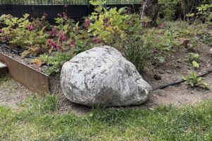 Axel Schäfer Immobilien