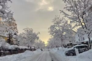 BA Real Estate Partners