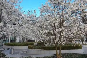 Bäckersche Höfe GbR