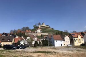 Barbara Tolnai Immobilien