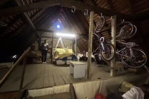 Bartz Immobilien – Neustadt an der Weinstraße