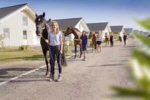 Bauer Martin – Ferienhof Bendfeldt