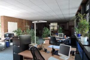 Baufi-Invest, Immobilien, Finanzierungen, Versicherungen