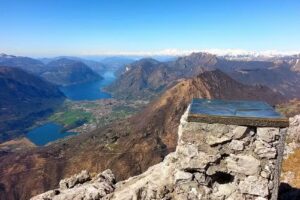 Bayer Immobilien GmbH