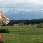 BBV LandSiedlung GmbH