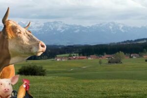 BBV LandSiedlung GmbH