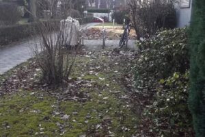 Bellingrodt Immobilien GmbH