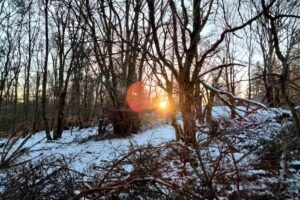 Berthold HOPPE, Ferienhausvermietung