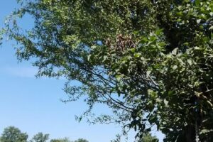 BIB BUSCH Immobilien und Beteiligungen GmbH