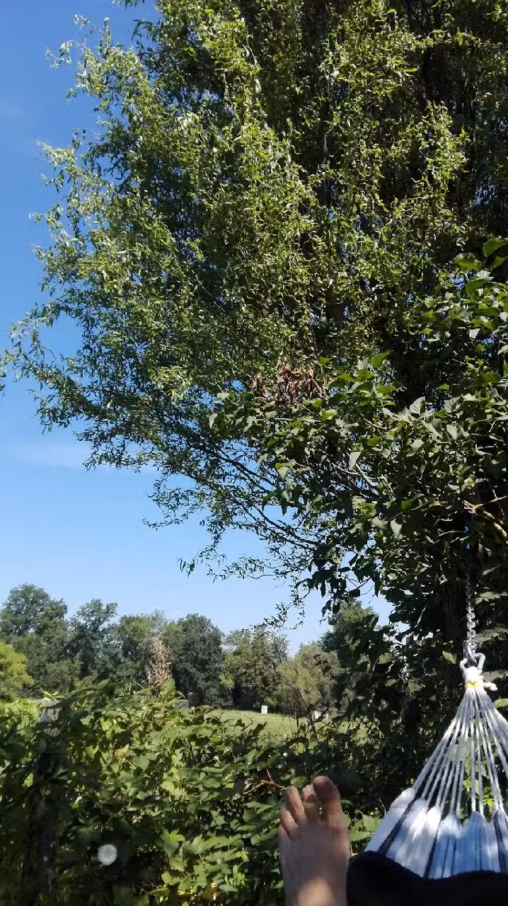 BIB BUSCH Immobilien und Beteiligungen GmbH