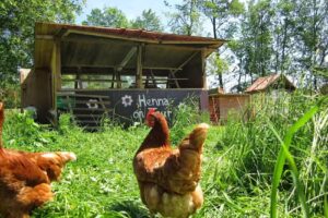 Bio Hofladen und Hofkäserei Tannenhof