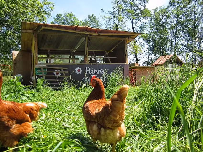 Bio Hofladen und Hofkäserei Tannenhof