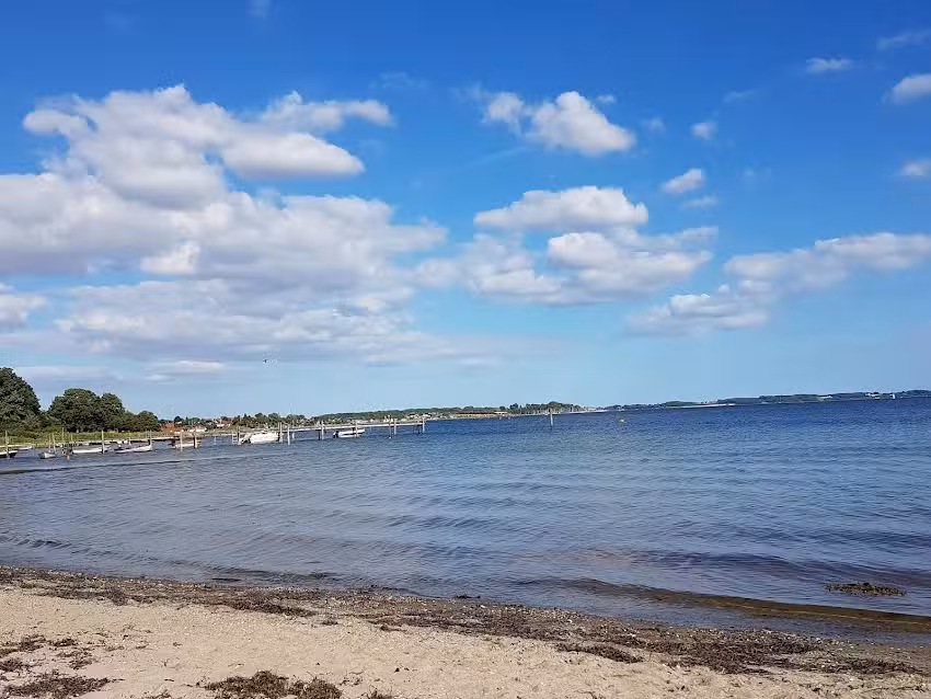 Brigitte-Maria Schlieker