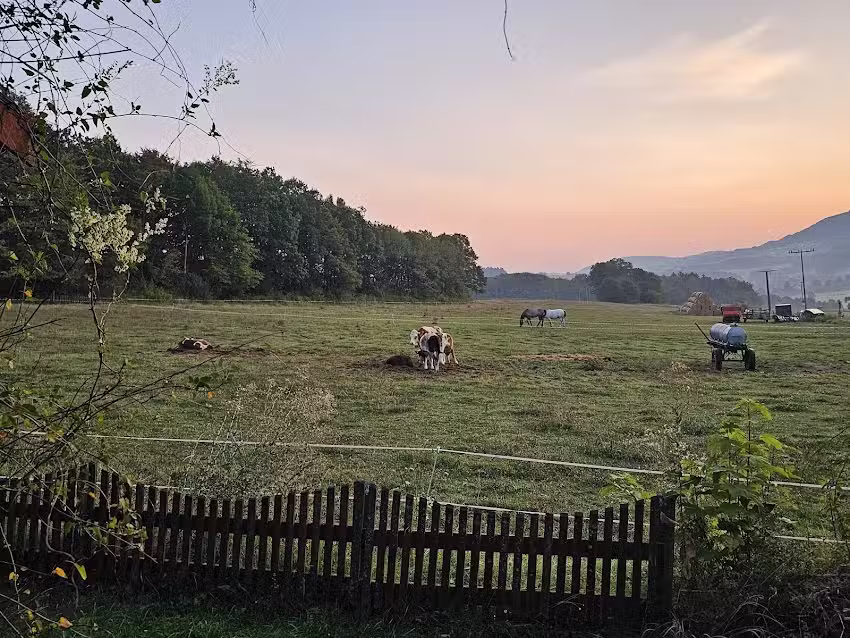 Bungalows & Ferienwohnung Dirk Kruse