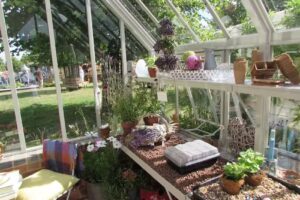 Burford-Verwaltungs-UG (haftungsbeschränkt)