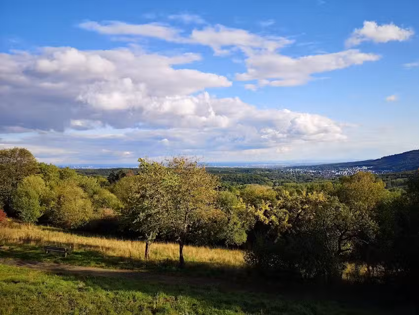 CCZ Creativ Concept Zauberberg Ruppertshain GmbH & Co. KG