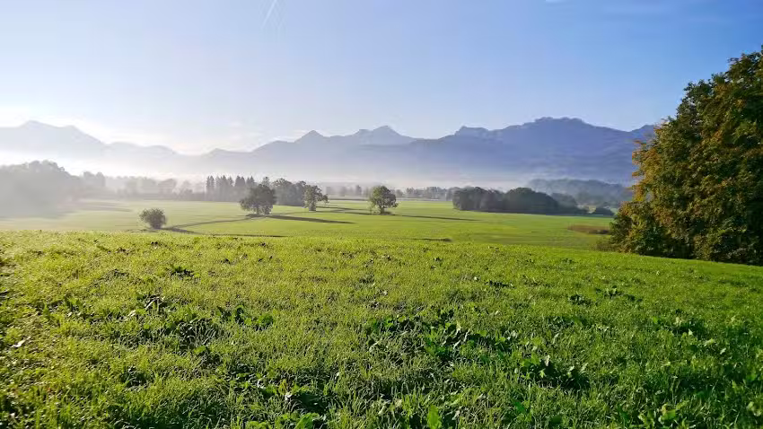 Chiemsee Apart – Ferienwohnung Chiemsee