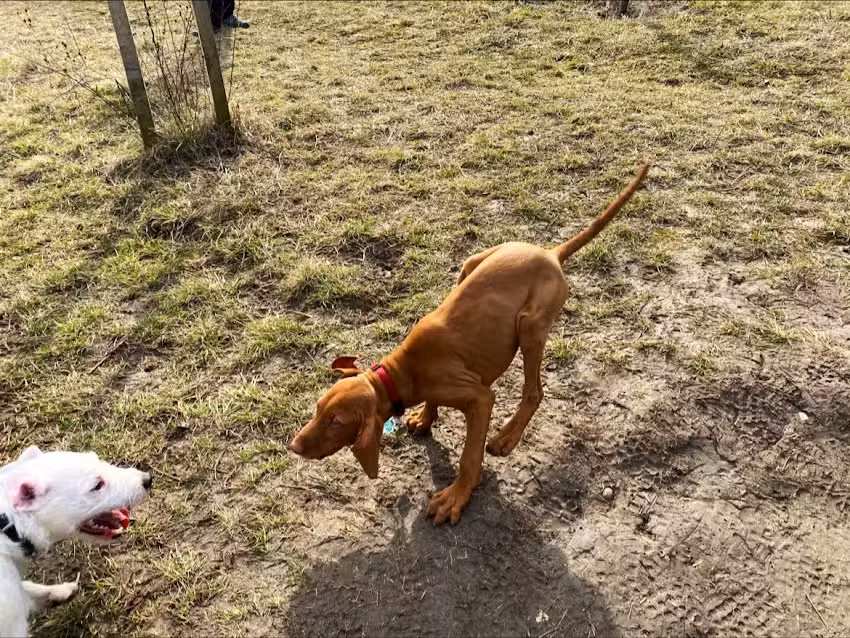 Christel Koch Immobilien e.K.