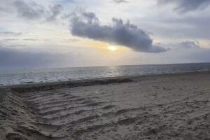 Christoph Riemann – Ferienvermietung auf Amrum & Föhr